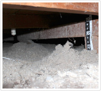 crawlspace before