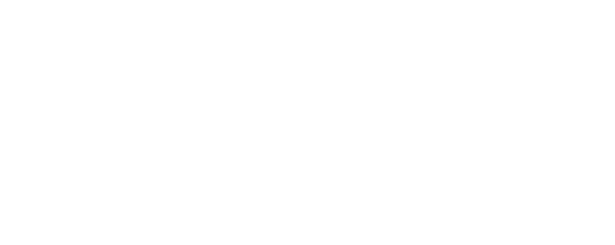 White Logo Caret Software